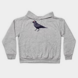 The Jackdaw Kids Hoodie